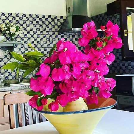 Casas Rurales La Torre Andrin * Andrin